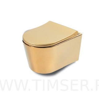 Унитаз TS-5538762